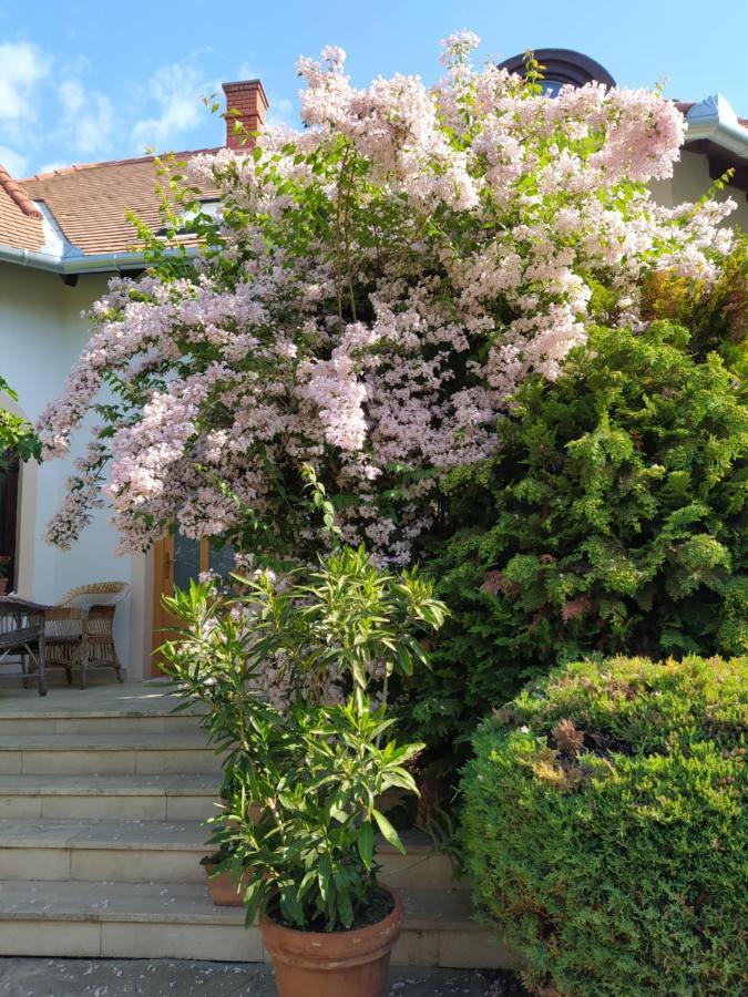 Frutta Villa Cserszegtomaj Εξωτερικό φωτογραφία