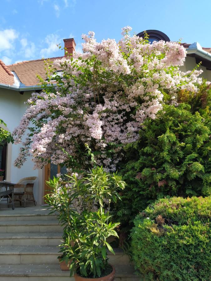 Frutta Villa Cserszegtomaj Εξωτερικό φωτογραφία